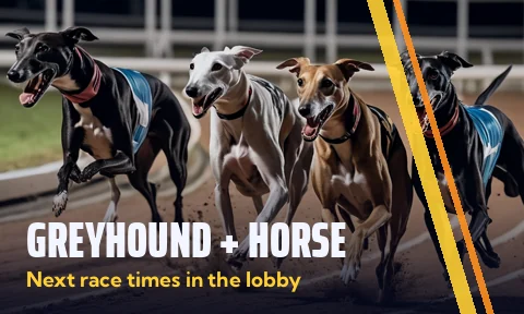 Greyhound and Horse tile, next race times in the lobby