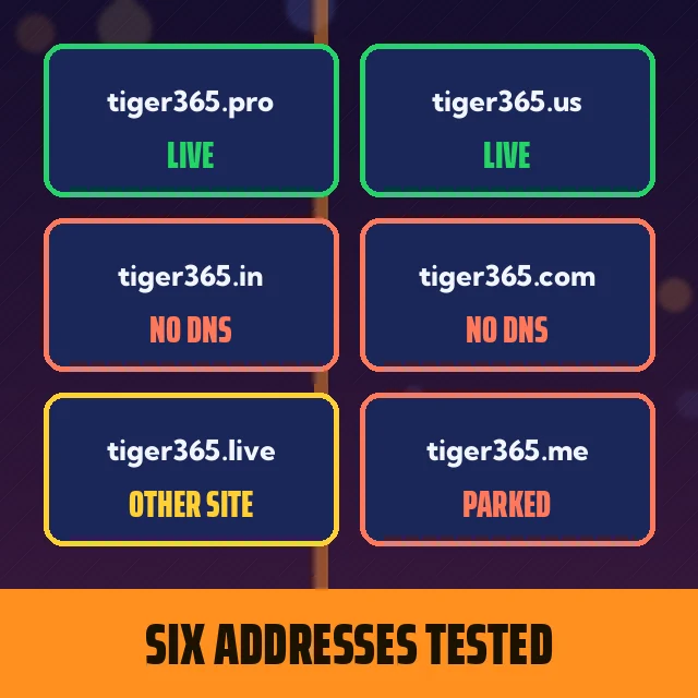 Six Addresses Tested graphic: grid: .pro and .us live, .in and .com no DNS, .live other site, .me parked