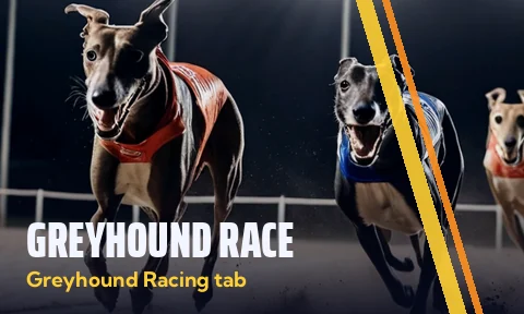 Greyhound Race tile, greyhound racing tab